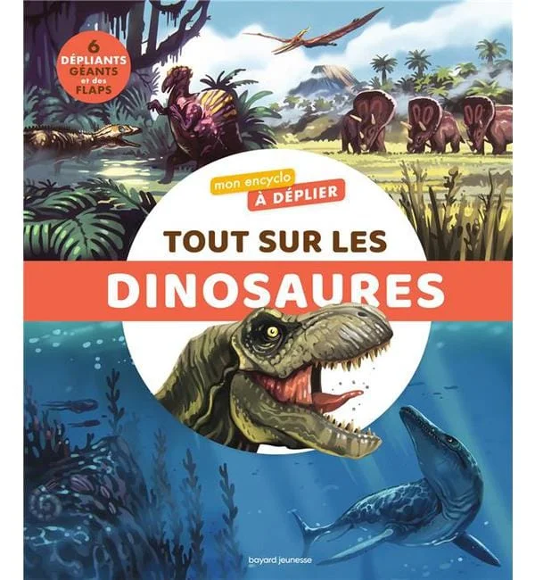 letoucanreveur-100385