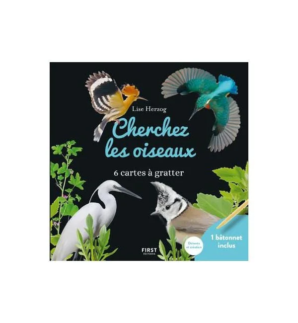 letoucanreveur-114166