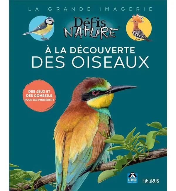 letoucanreveur-126680