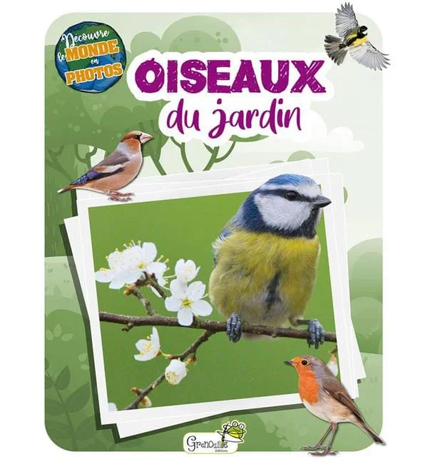 letoucanreveur-175386