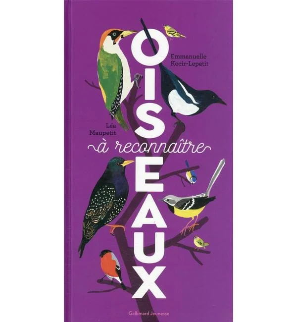 letoucanreveur-178330