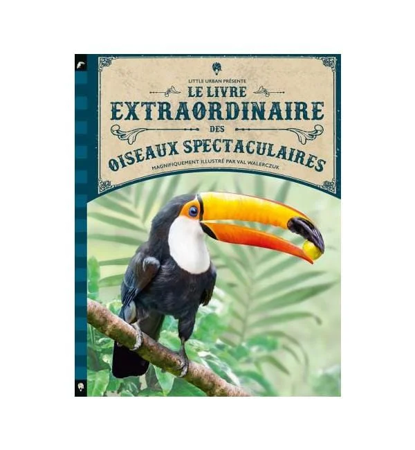 letoucanreveur-1882716