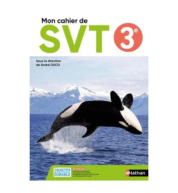letoucanreveur-194731
