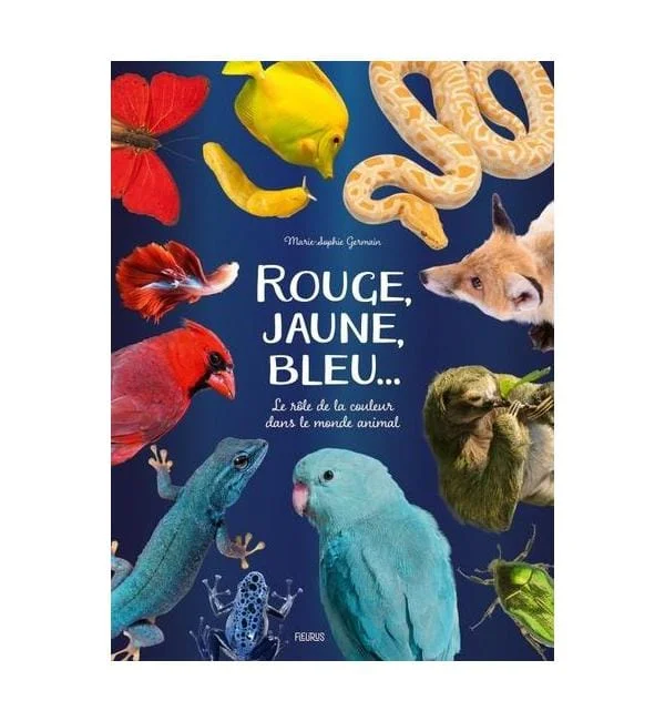 letoucanreveur-221116