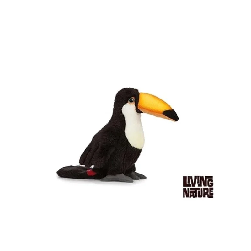 letoucanreveur-233651