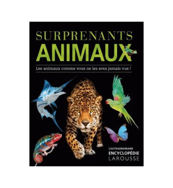 letoucanreveur-45795