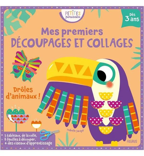 letoucanreveur-67241