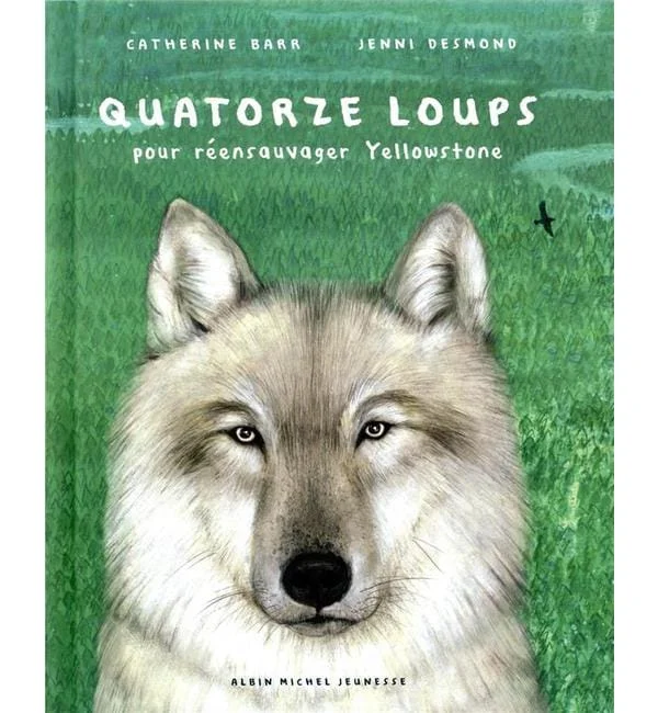 letoucanreveur-77159