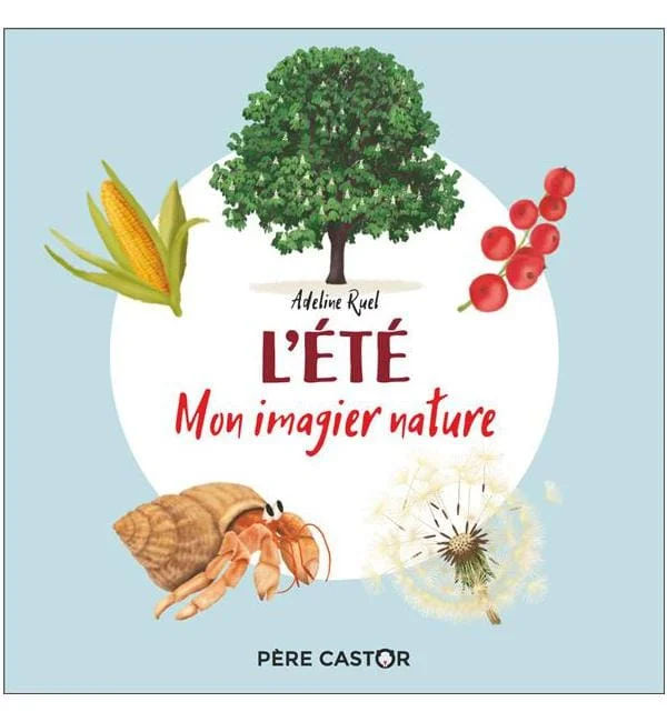 letoucanreveur-91038